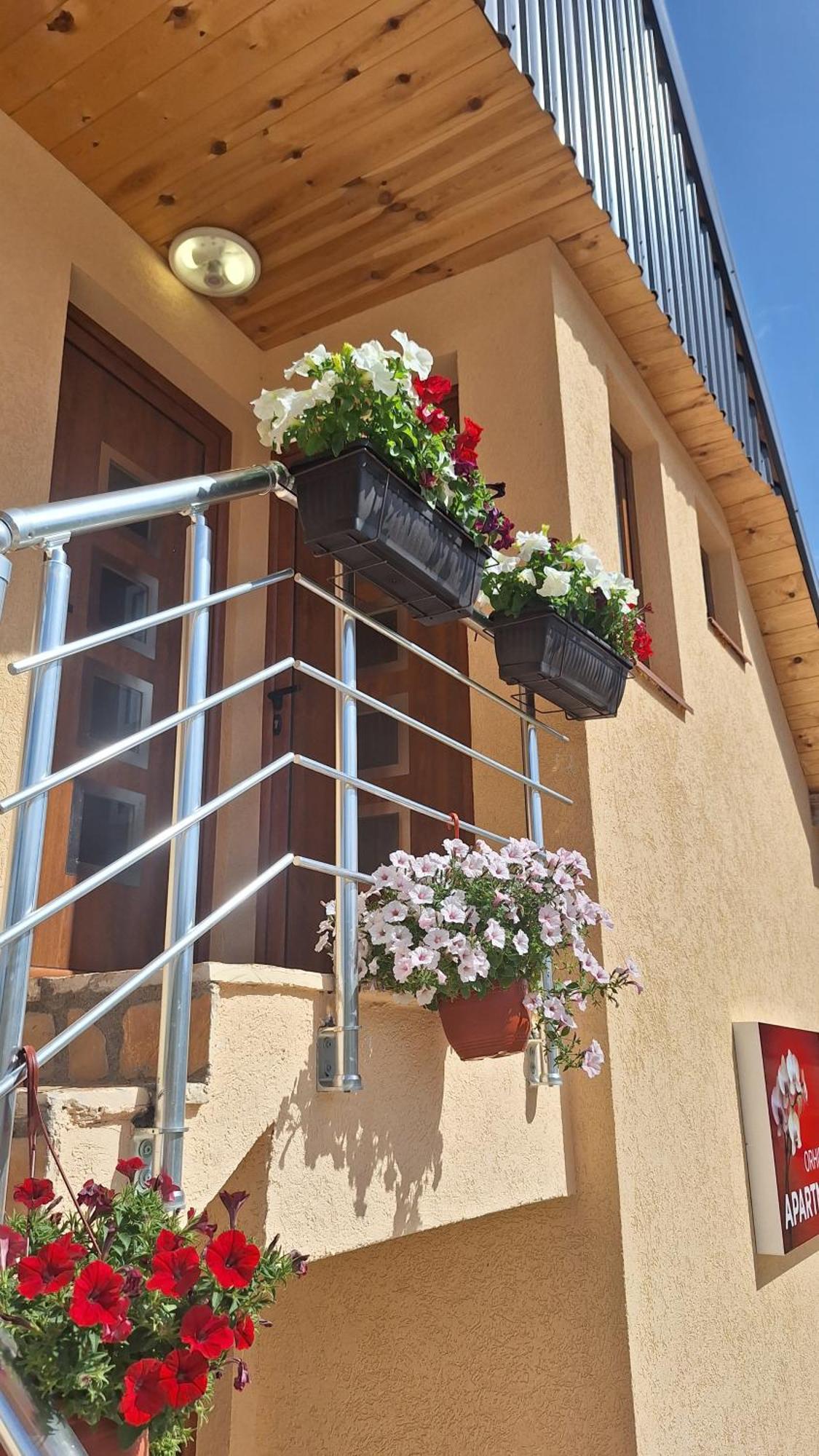 Apartments Orchidea Žabljak Exteriér fotografie