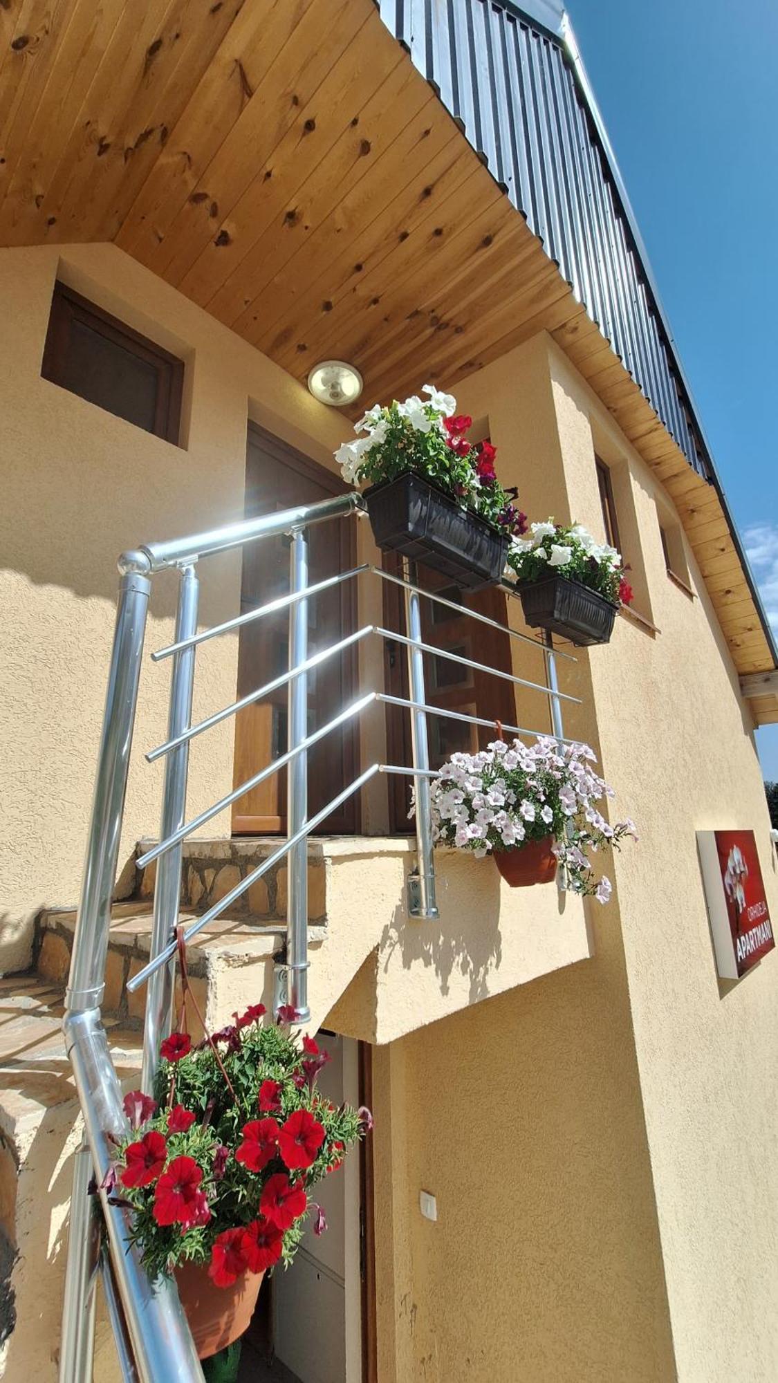Apartments Orchidea Žabljak Exteriér fotografie